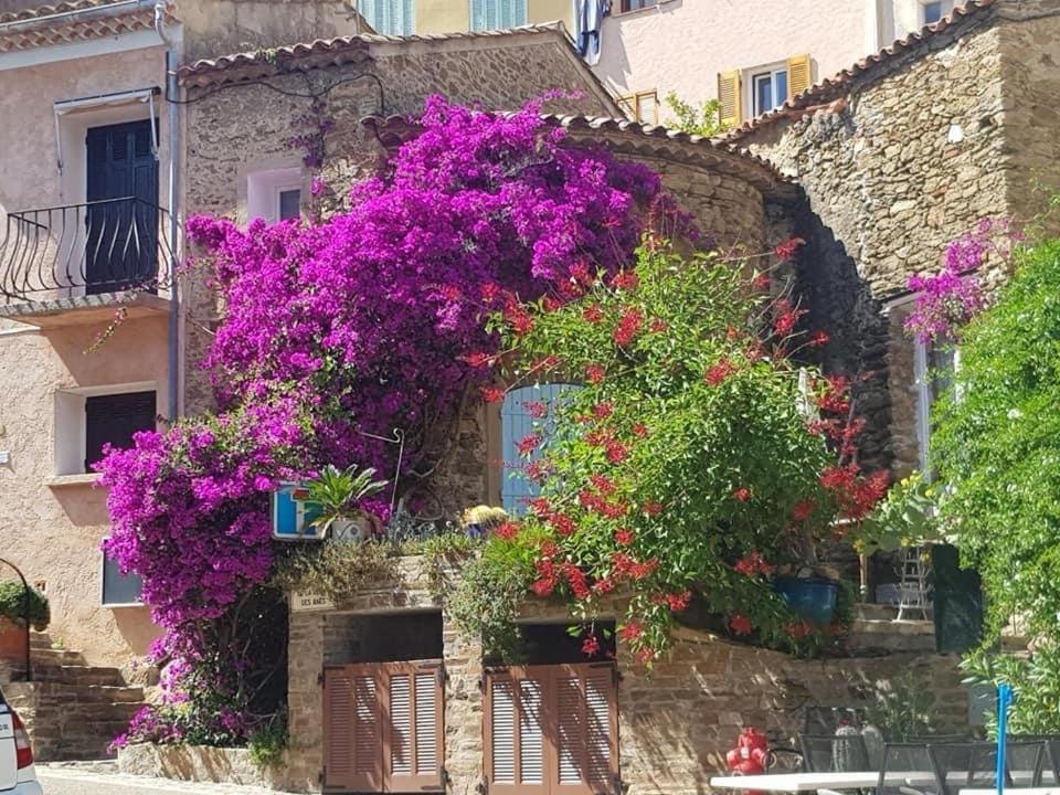 Maison De Vacances Medievale Bormes-Les-Mimosas Village Bormes-les-Mimosas Exterior foto