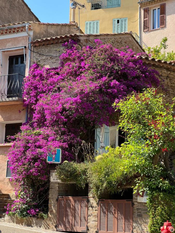 Maison De Vacances Medievale Bormes-Les-Mimosas Village Bormes-les-Mimosas Exterior foto